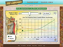 Tree Guardians - Fire Frequency interactive